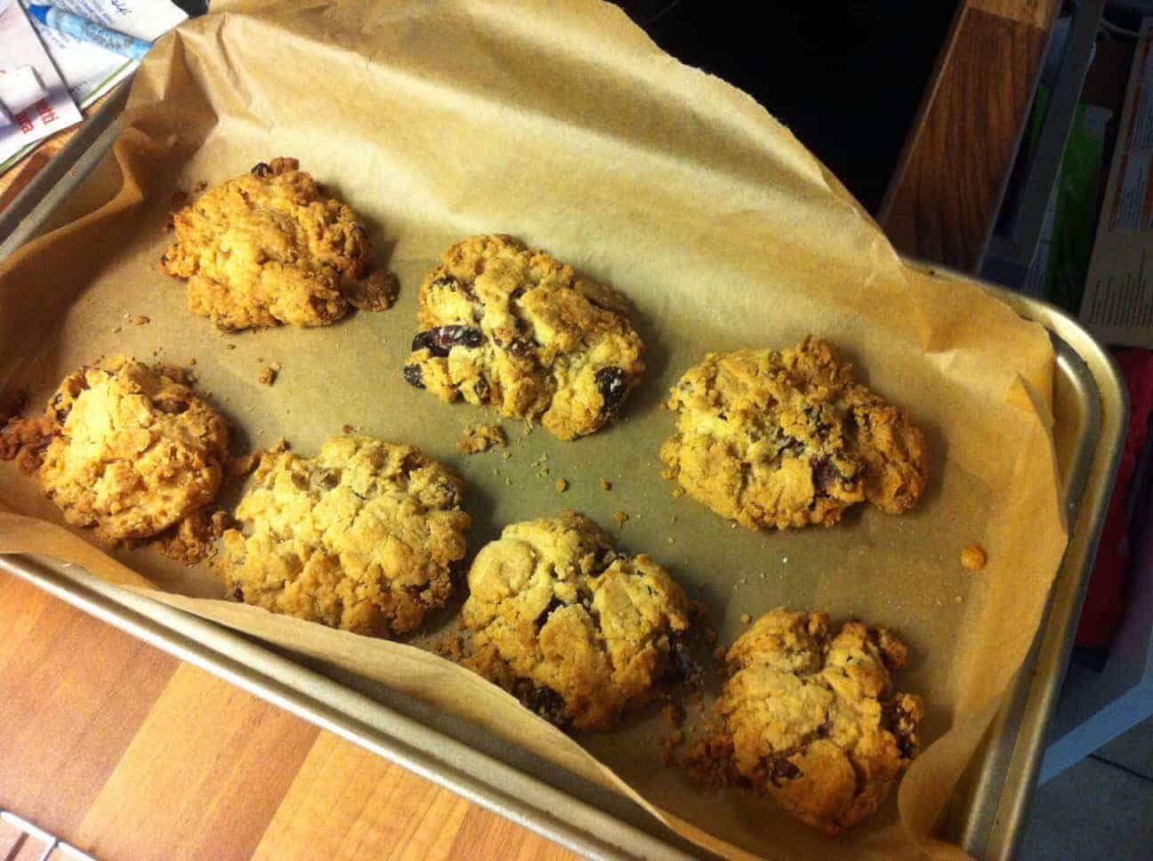 Chocolate and cranberry cookies