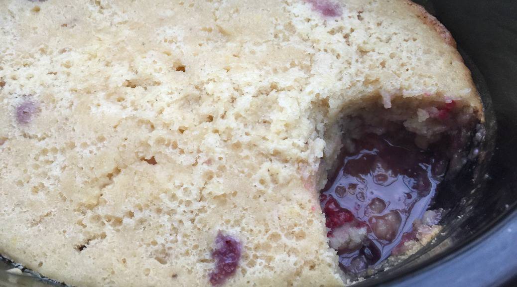 Slow Cooker Lemon and Berry Self-Saucing Pudding