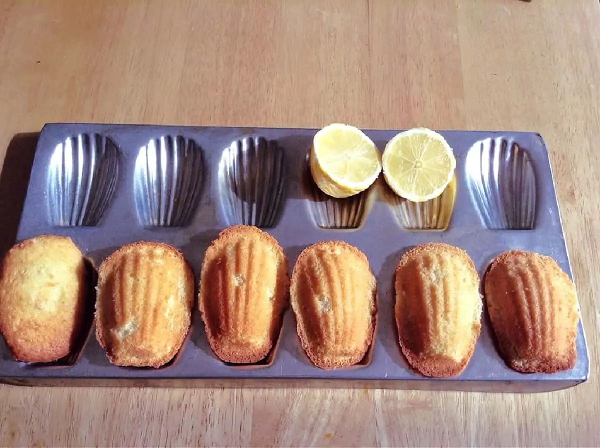 A row of shell-shaped madeleines in a pan.