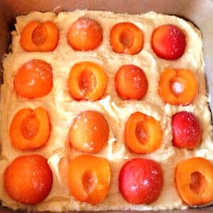 Baking pan with cake batter topped with halved apricots.