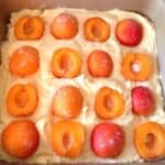 Apricot and almond traybake