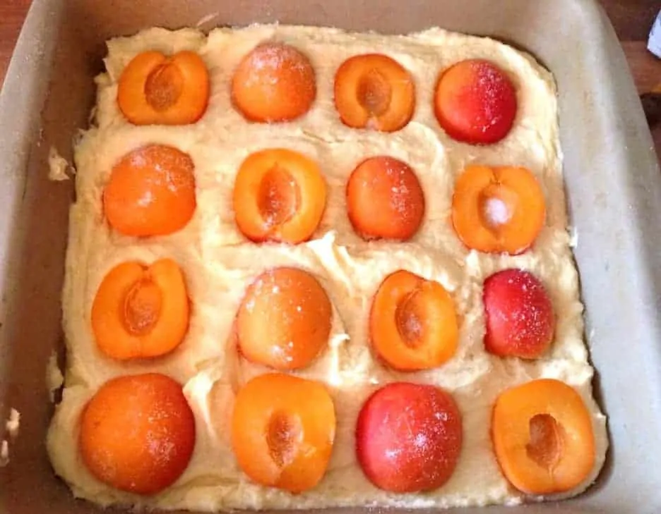 Apricot and almond traybake
