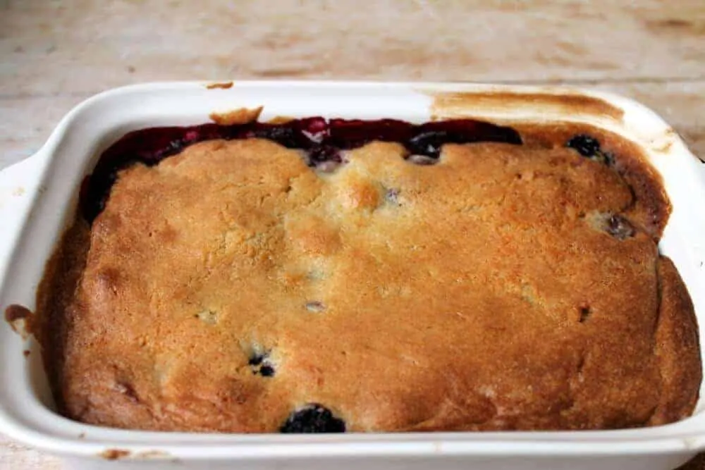 Sponge pudding with berries oozing from the sides.
