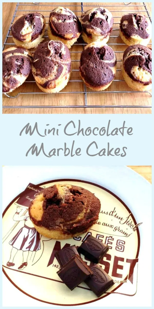 Mini Chocolate Marble Cakes