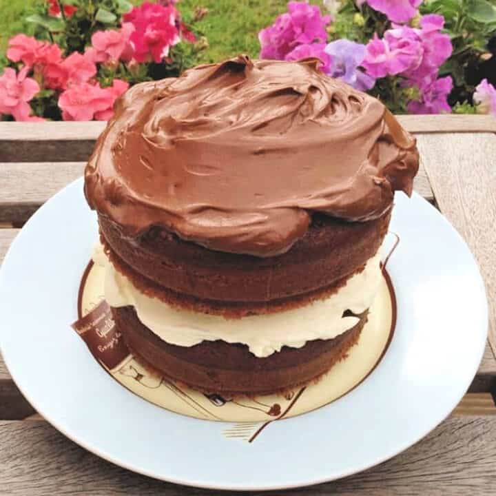 Chocolate cake on a light blue plate, with garden flowers in the background.