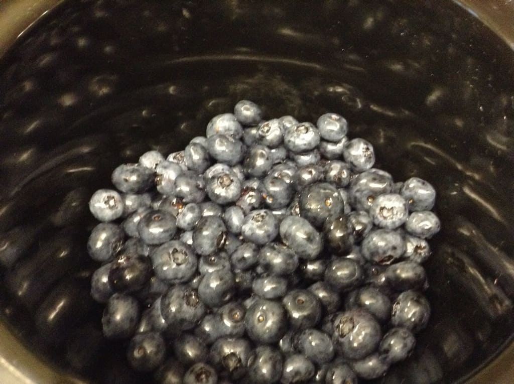 Slow Cooker Blueberry & Ginger Jam and Blackberry Jam - Blueberries