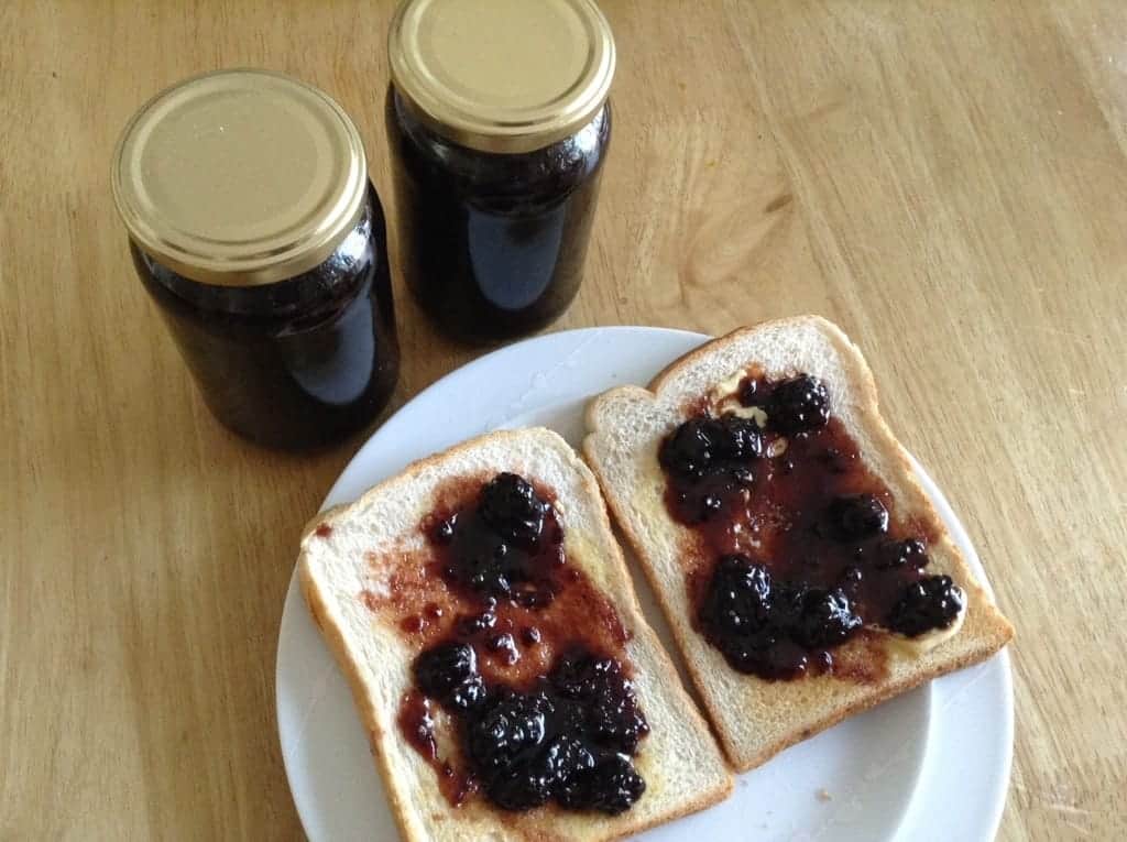 Slow Cooker Blueberry and Ginger Jam and Blackberry Jam