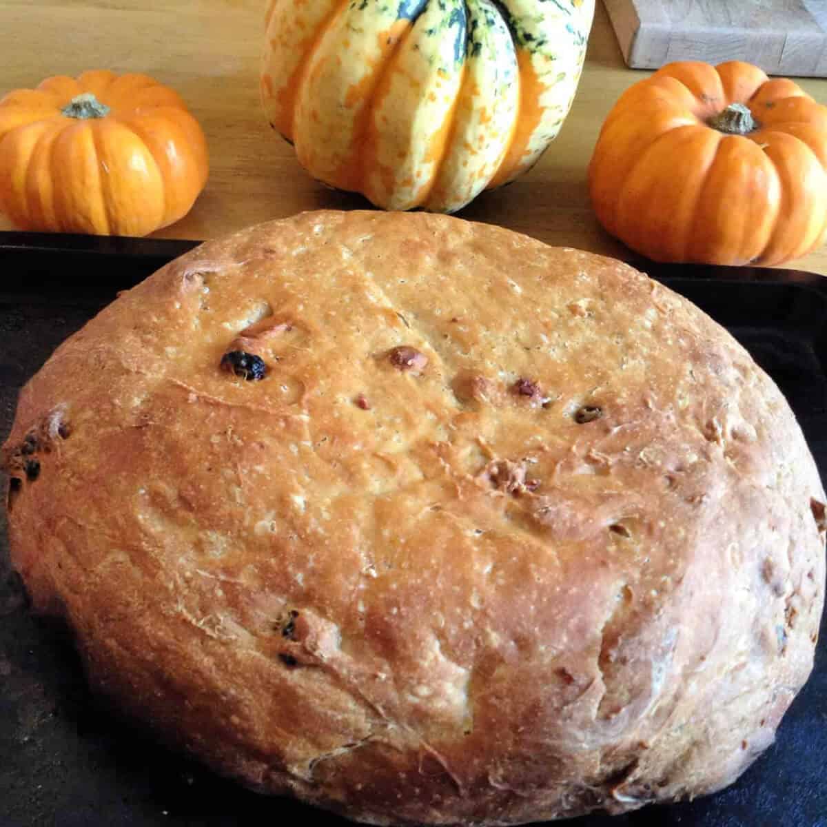Pumpkin bread loaf with pumpkins behind.