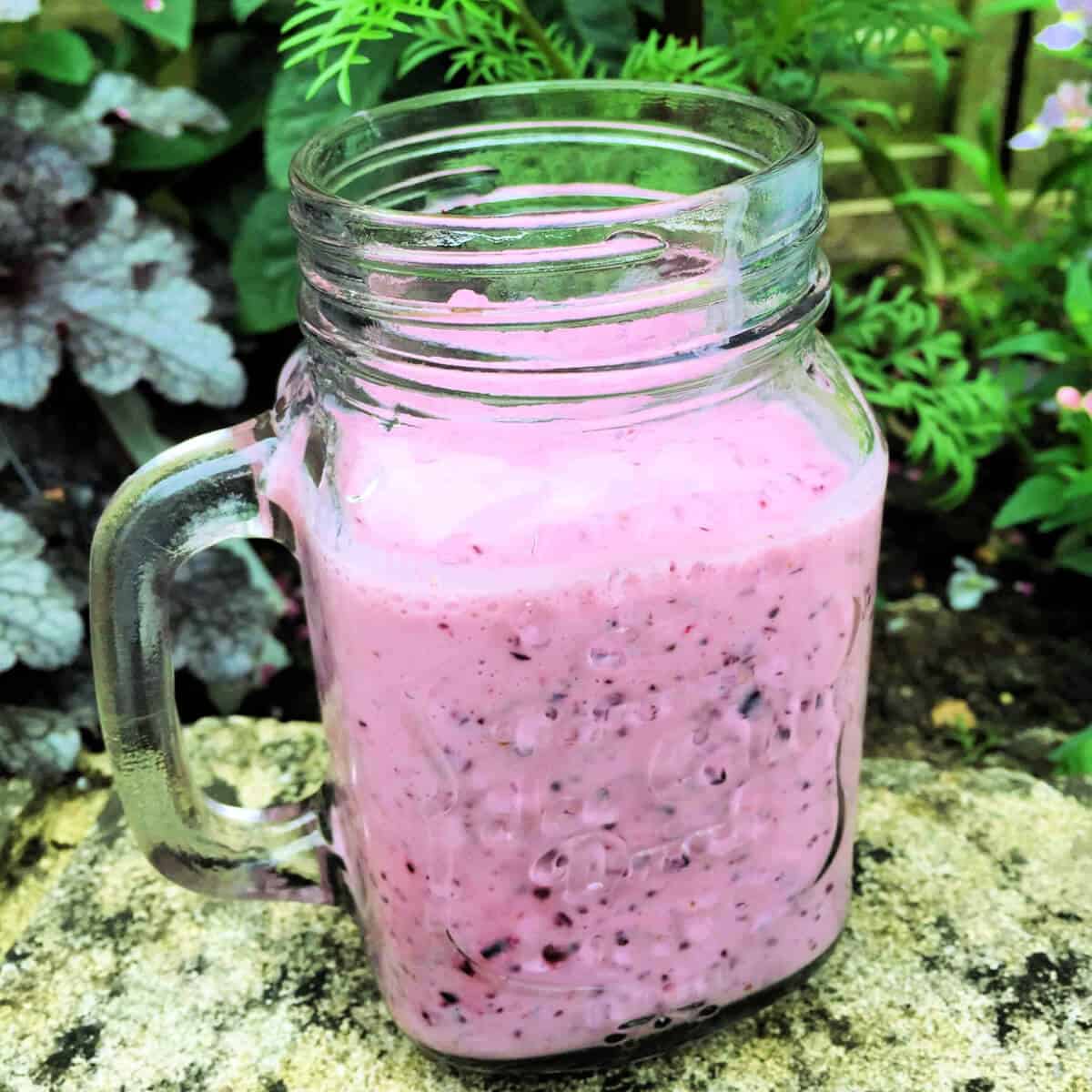 Smoothie in a jar with foliage behind.