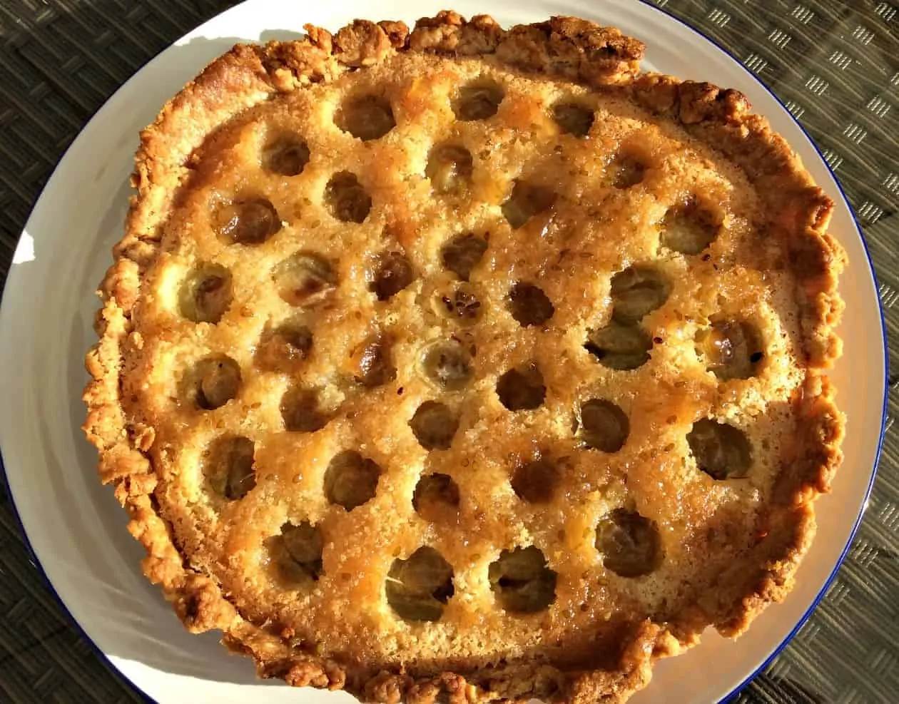 Gooseberry tart on a white plate.