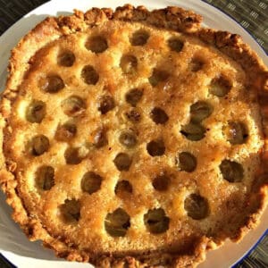 Gooseberry tart on a white plate.