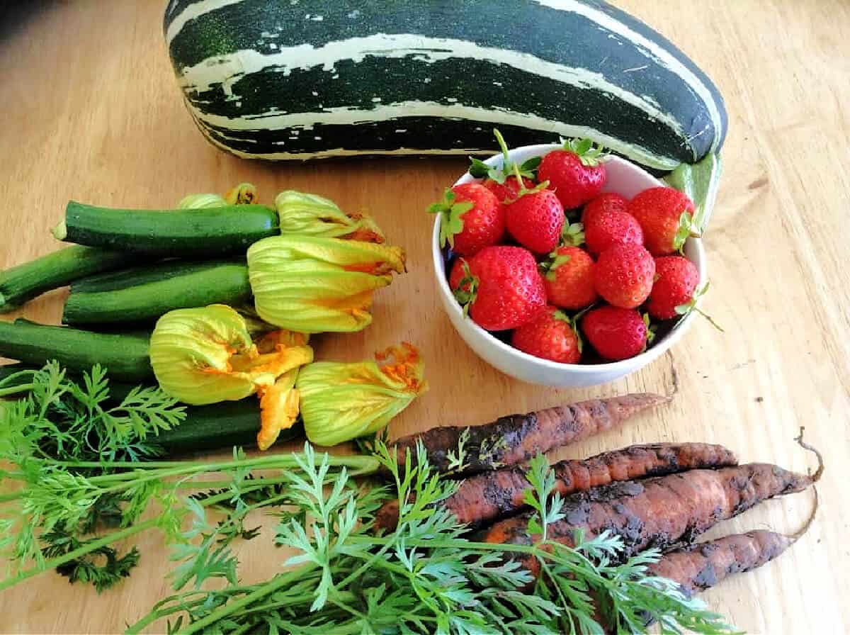 Marrow, courgettes, carrots and strawberries picked from a farm.