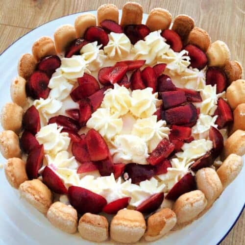 Cherry Russe dessert with cherries and piped cream and ladyfinger sponge edges, on white plate.