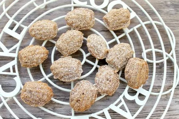 Close up of madeleines on white wire cooling rack.