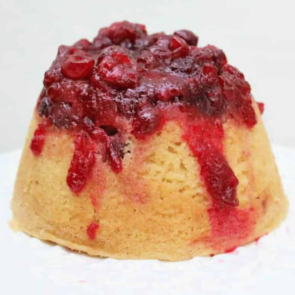Slow Cooker Steamed Pudding with Cranberry BakingQueen74