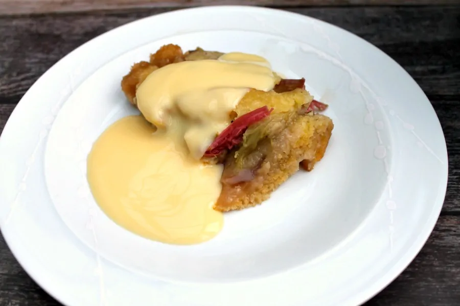 Slow cooker rhubarb cobbler serving on white plate with custard