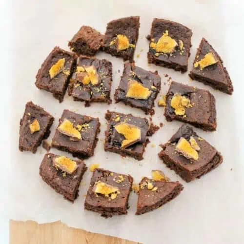 Brownies cut into squares on a white background.
