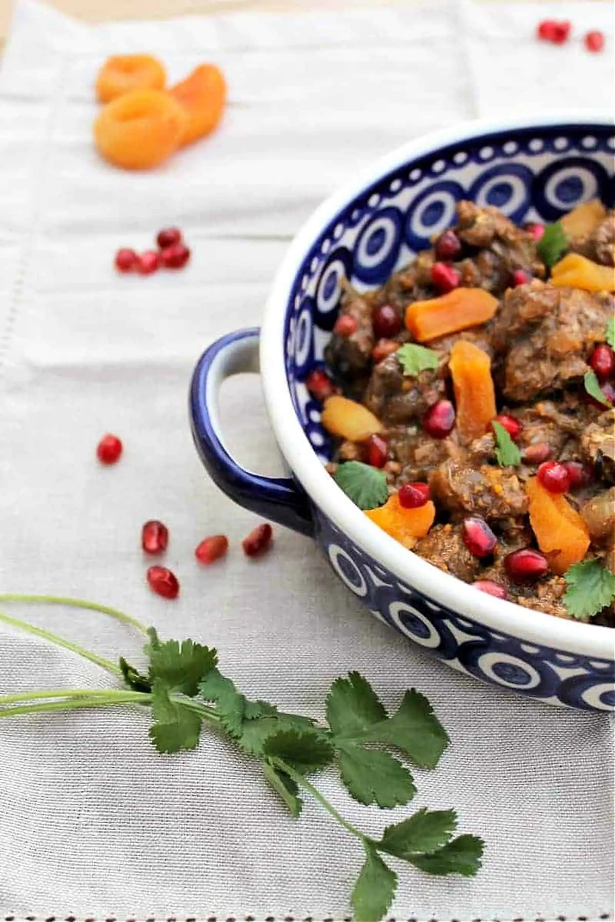 Close up of edge of serving bowl with lamb stew with apricots, pomegranate seeds and herbs.