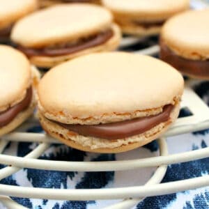 Macarons on a white baking rack.