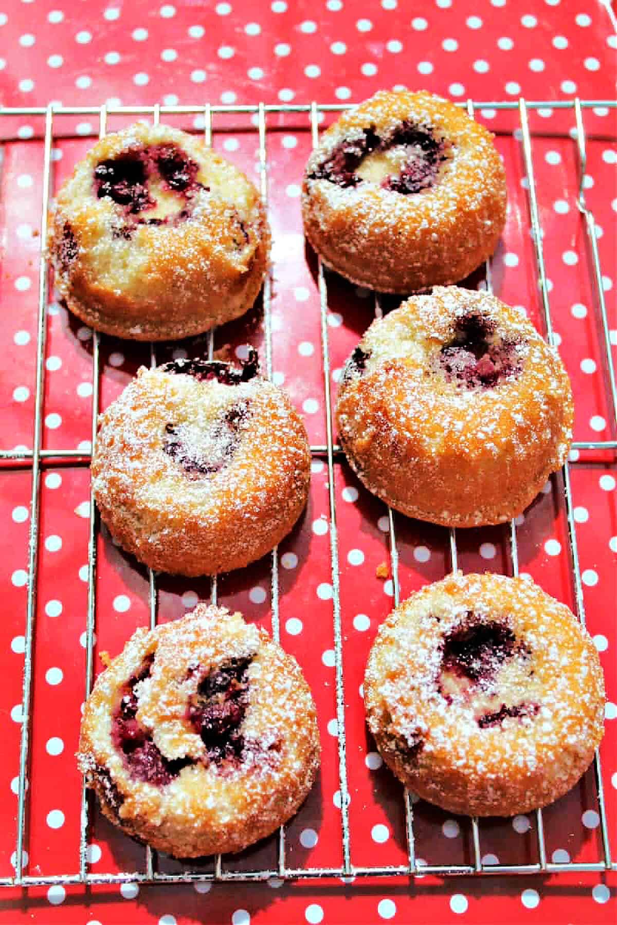 Blackberry cakes on cooling rack on red and white spotted tray.