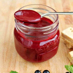 A jar of blackcurrant curd, with spoon on top.