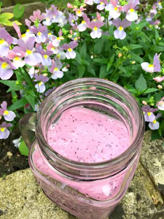 Blackcurrant and blueberry smoothie