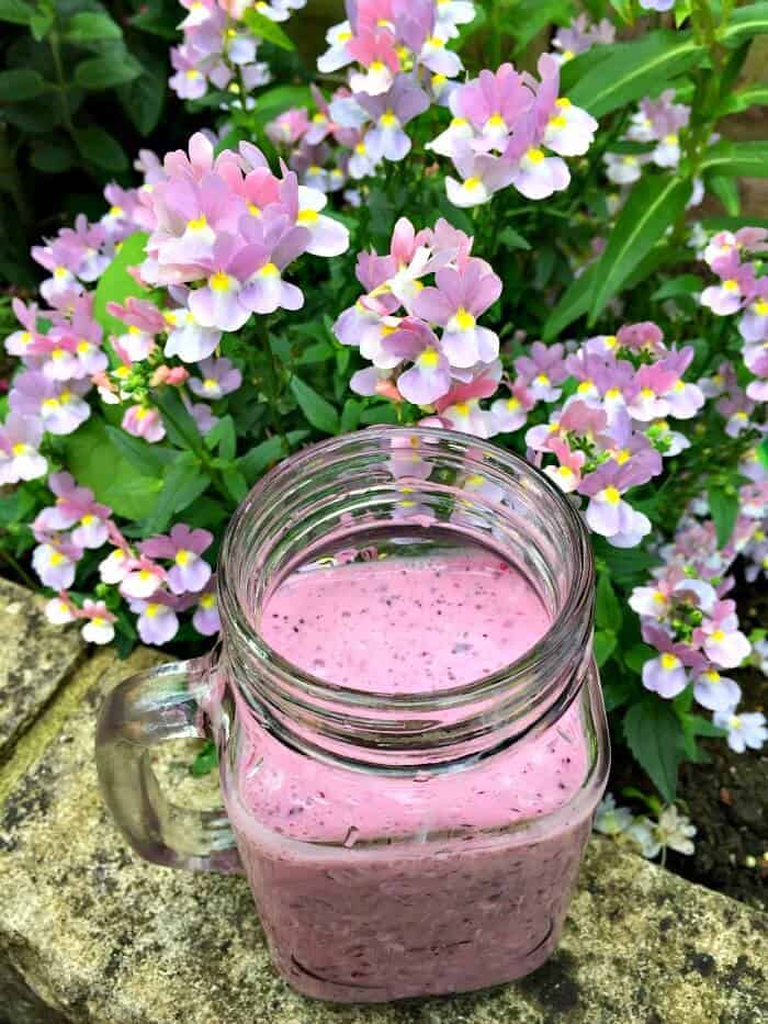 Blackcurrant and blueberry smoothie