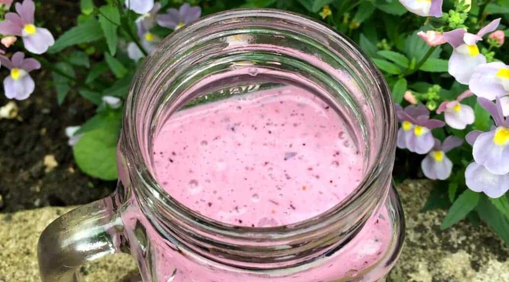 Blackcurrant and Blueberry Smoothie