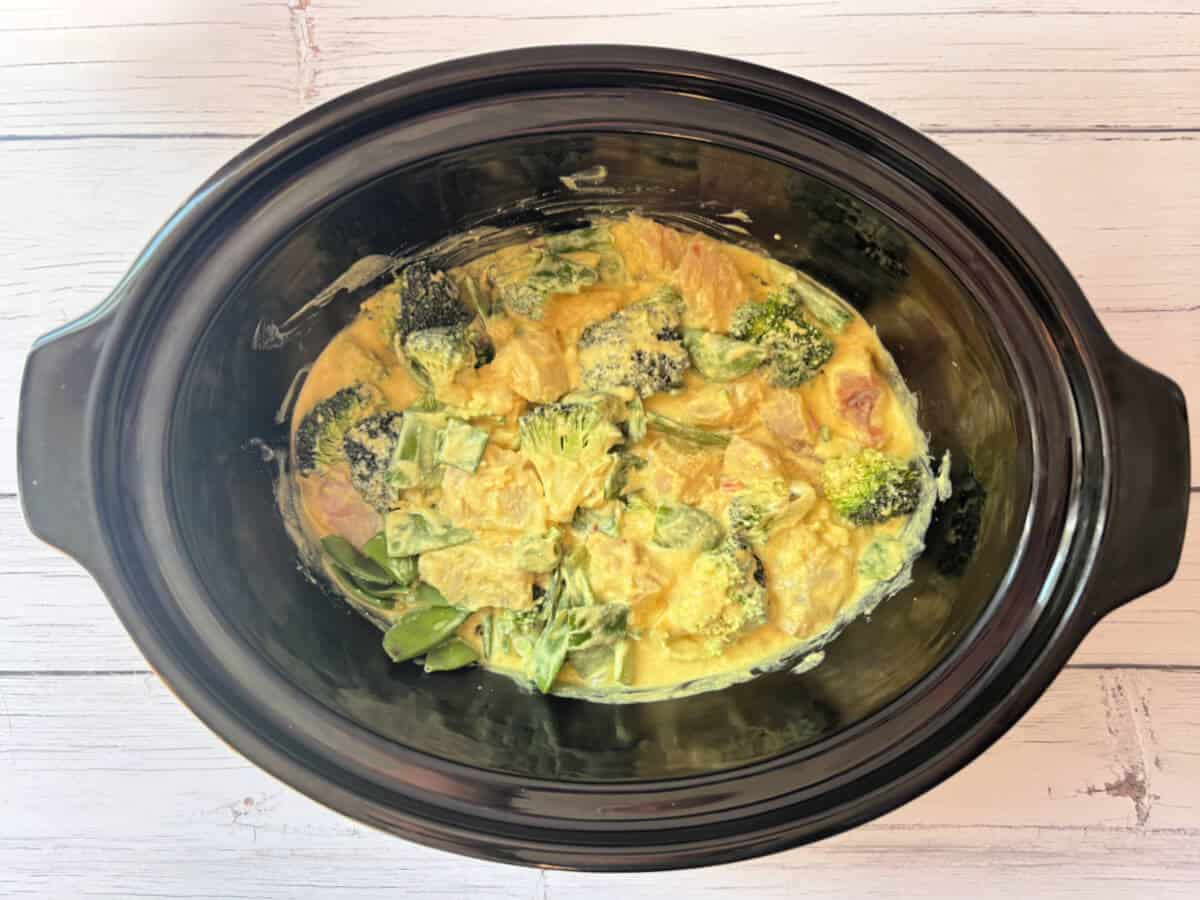 Fish curry ready to cook, in slow cooker pot.