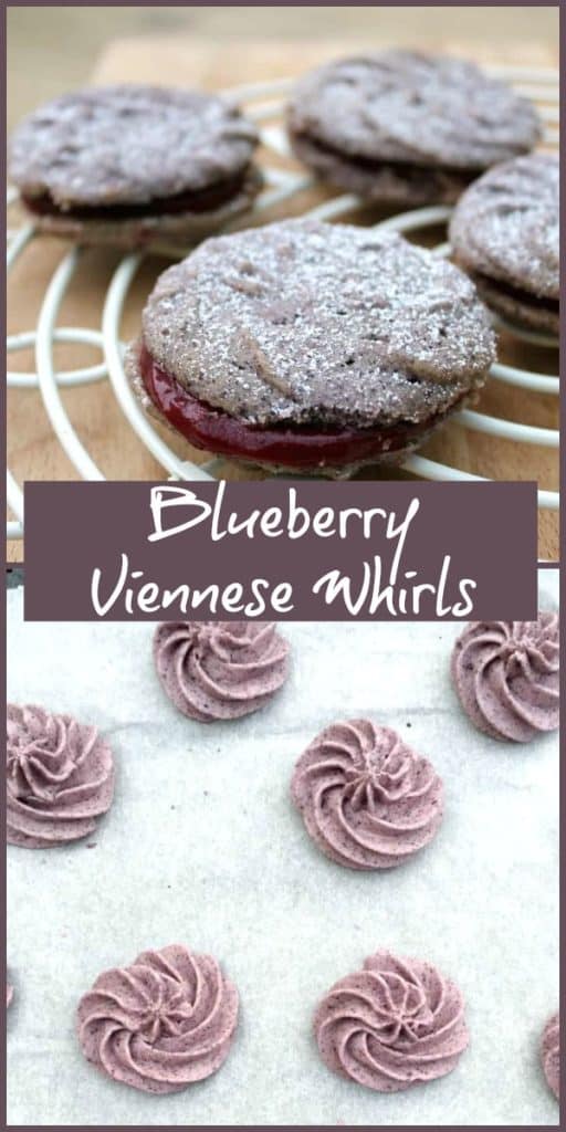 Blueberry Viennese Whirls