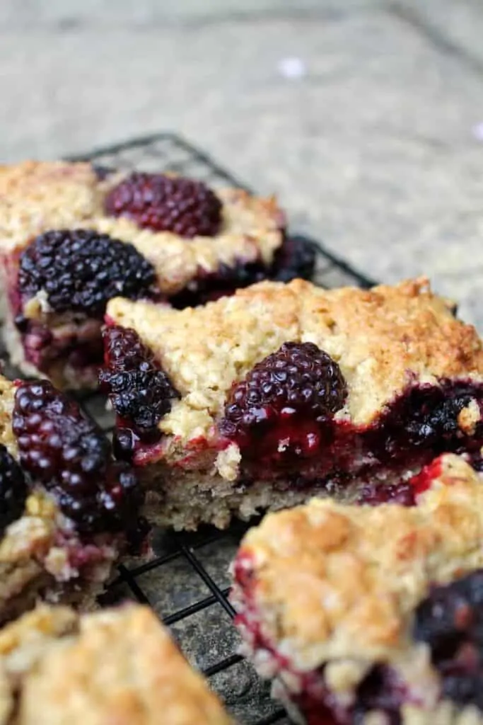 Blackberry oaty traybake cake