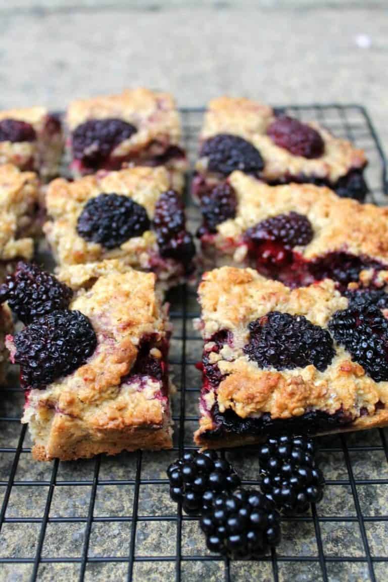 Blackberry Oaty Traybake Ideal for Late Summer BakingQueen74