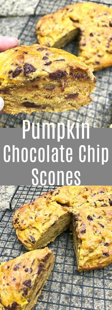 Pumpkin Chocolate Chip Scones