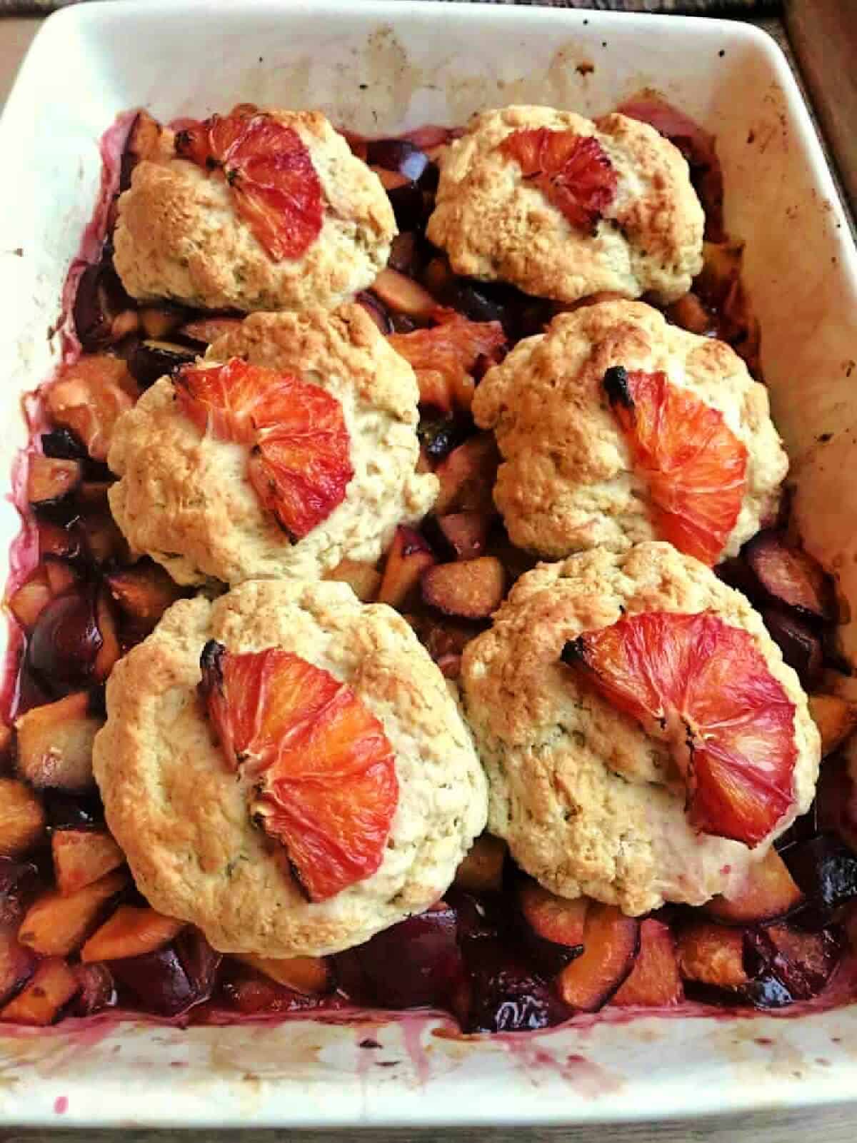 Serving dish with cobbler with scone topping and blood orange slices on top.
