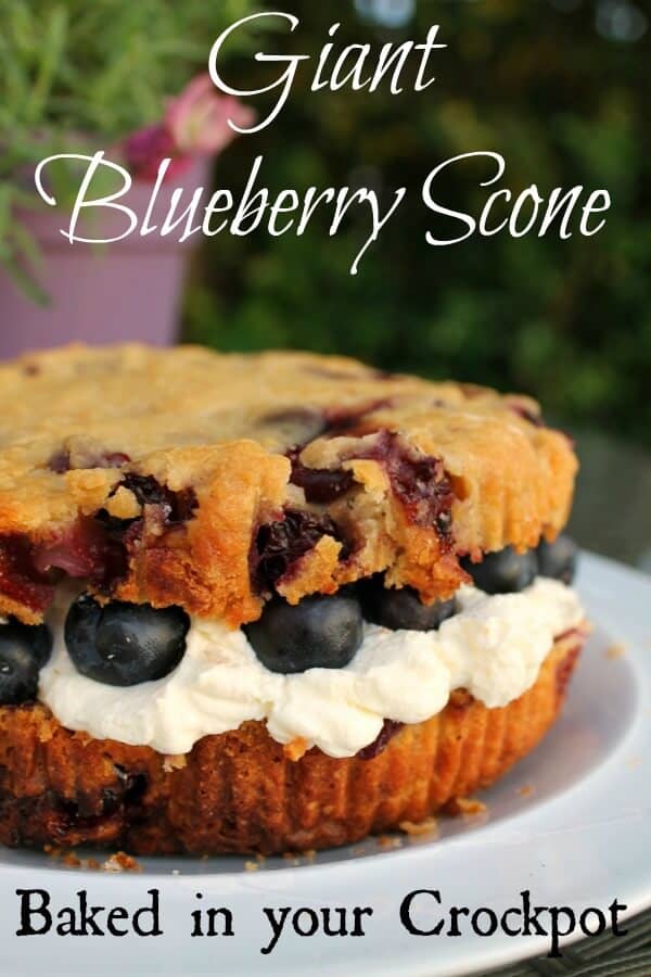 Giant Blueberry Cream Scone