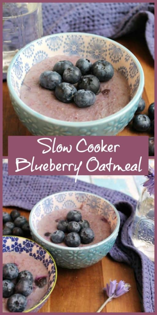 Slow Cooker Blueberry Oatmeal/Porridge