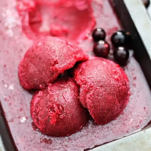 Scoops of Blackcurrant Sorbet in a metal tin with fresh blackcurrants.