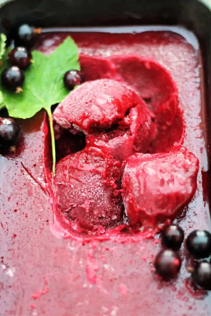 Blackcurrant sorbet, frozen, with blackcurrants on the side.