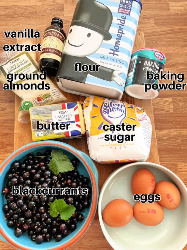 Easy Blackcurrant Traybake BakingQueen74