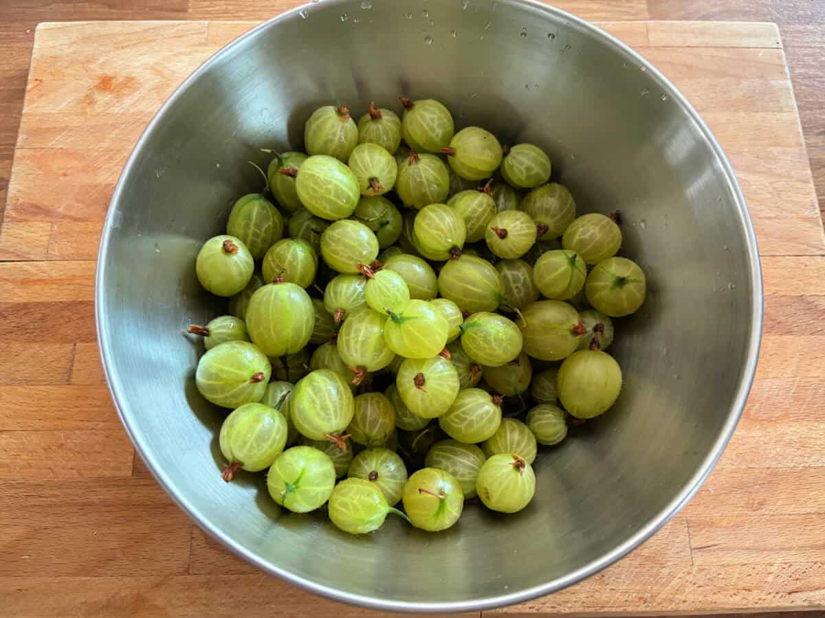 Gooseberries in a metal bowl.
