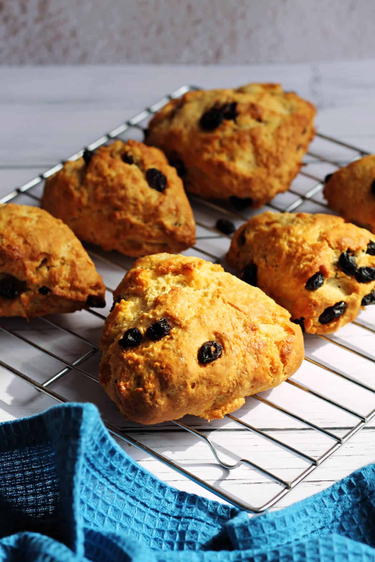 Triangle fruit scones on cooling rack.
