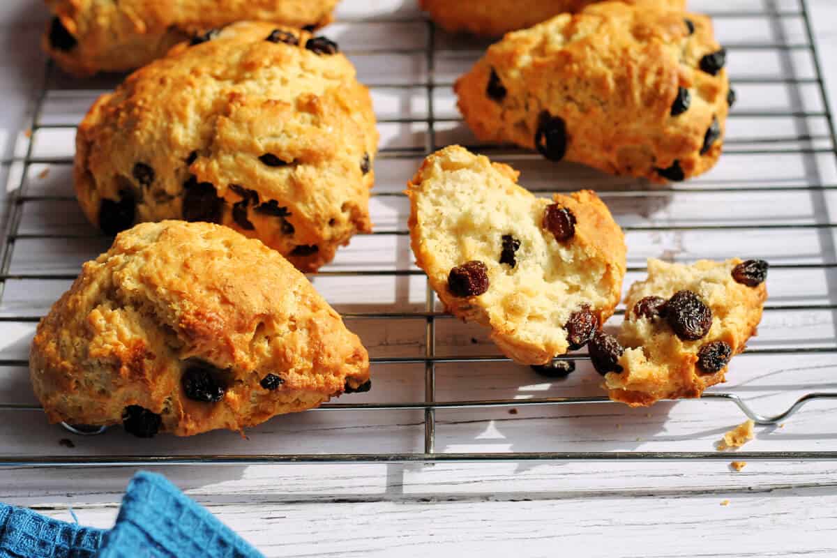 Fruit scones on a baking rack, one broken open showing the soft crumb inside.