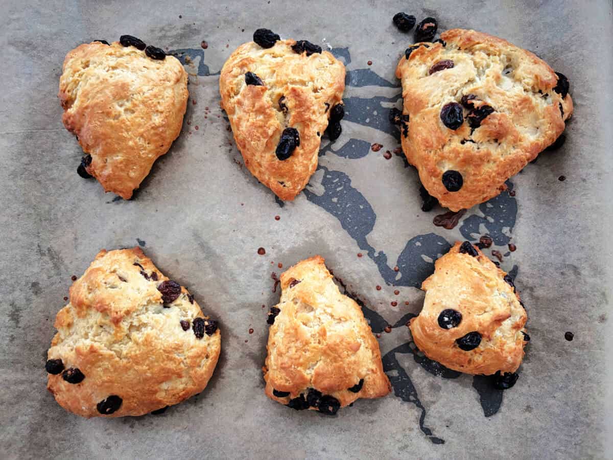 Baked fruit scones on baking tray.